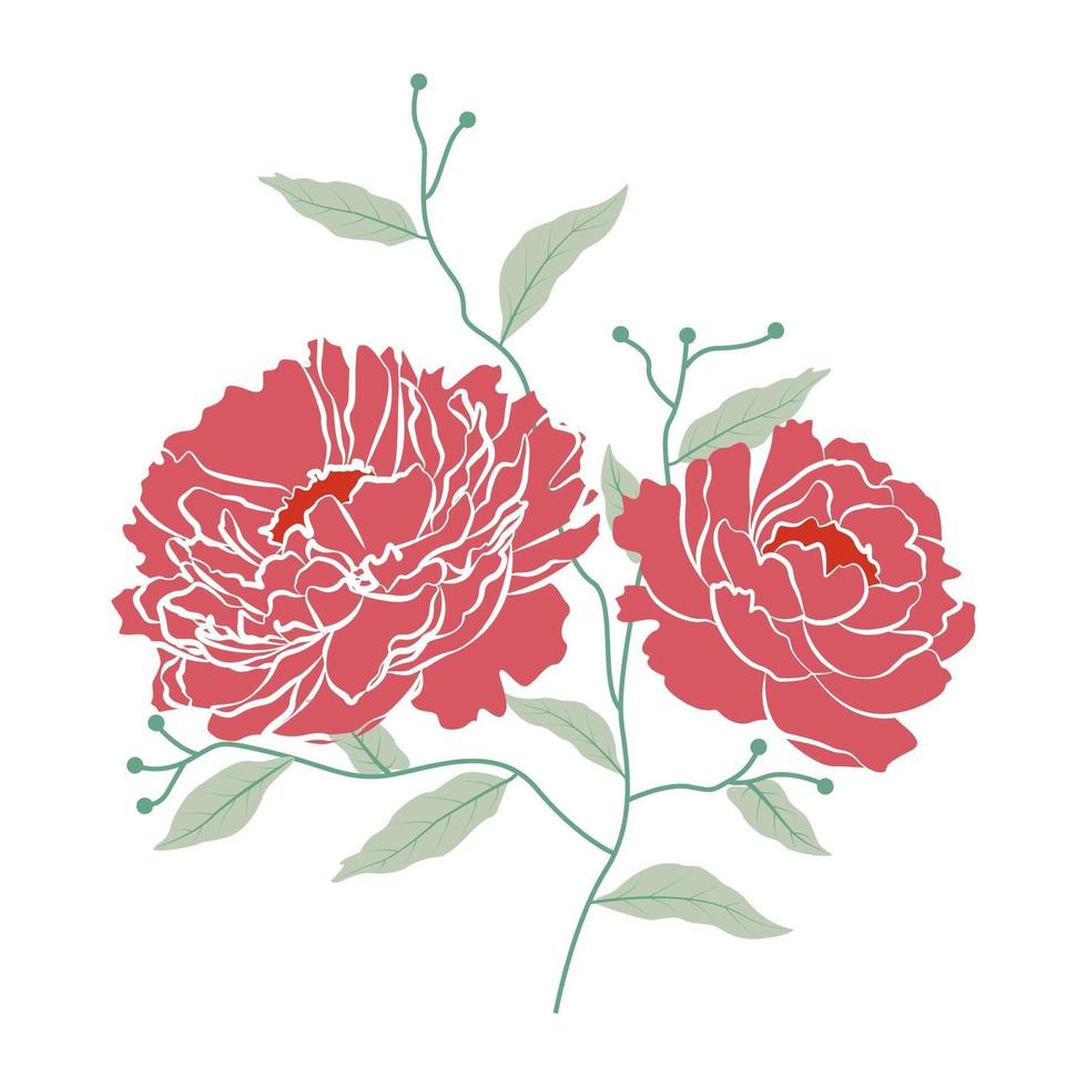 vectorillustratie van peony bloemen met tak en blad vector