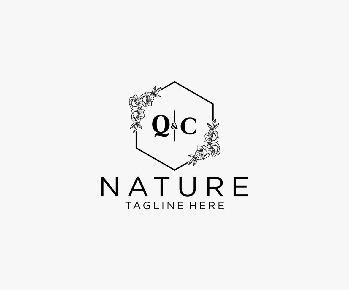 eerste qc brieven botanisch vrouwelijk logo sjabloon bloemen, bewerkbare premade monoline logo geschikt, luxe vrouwelijk bruiloft branding, zakelijk. vector