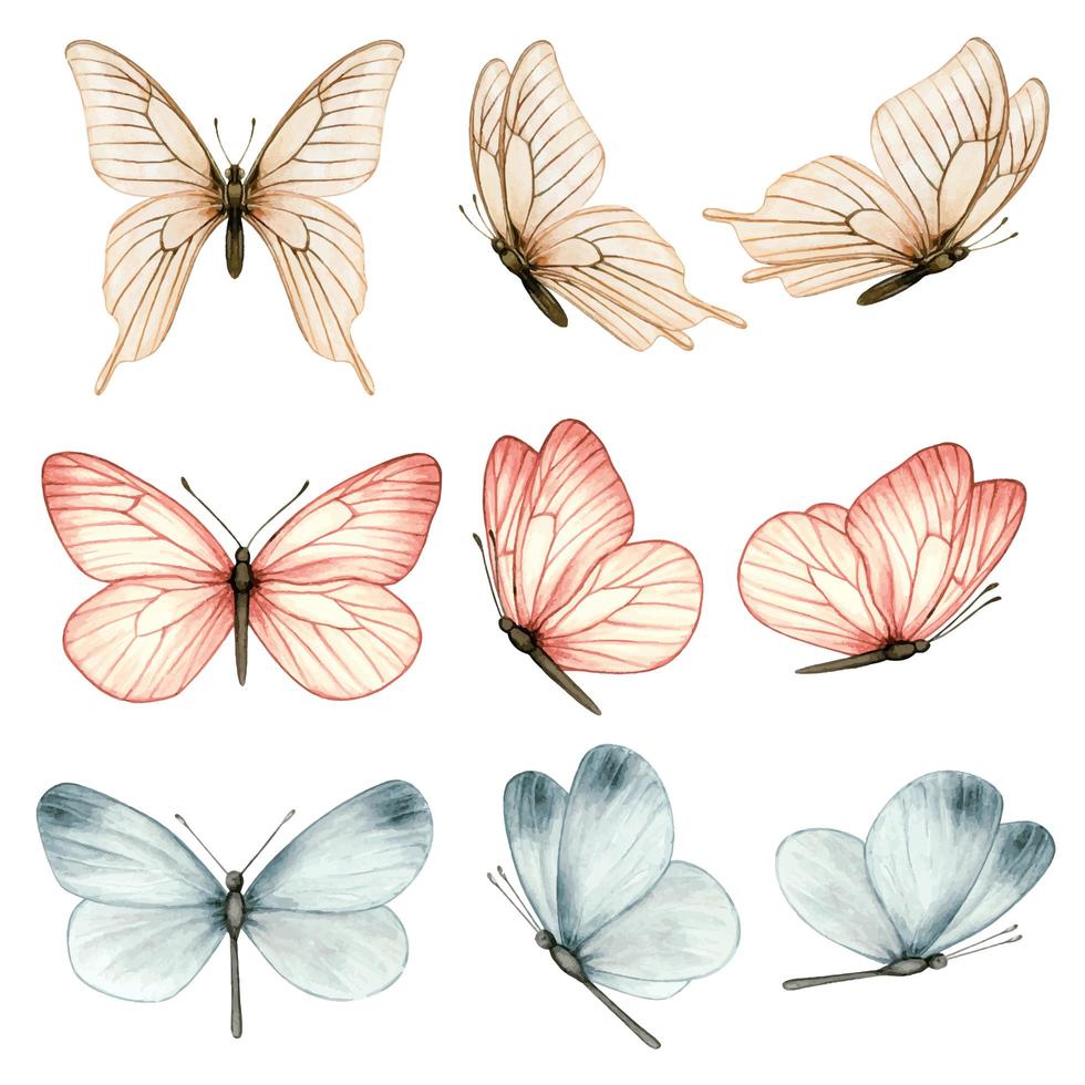 prachtige aquarel vlindercollectie in verschillende posities vector