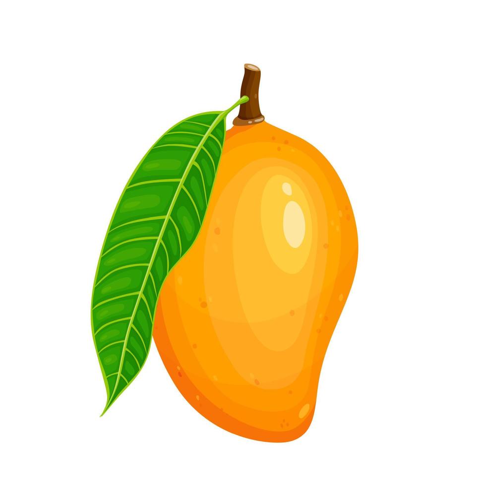 vers mango tropisch fruit met groen blad geïsoleerd Aan wit achtergrond. vector eps 10. perfect voor behang of ontwerp elementen