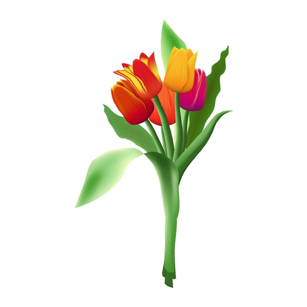 boeket van vijf realistisch vector tulpen geïsoleerd Aan wit achtergrond. rood, geel en Purper bloem knoppen. groen lang bladeren.