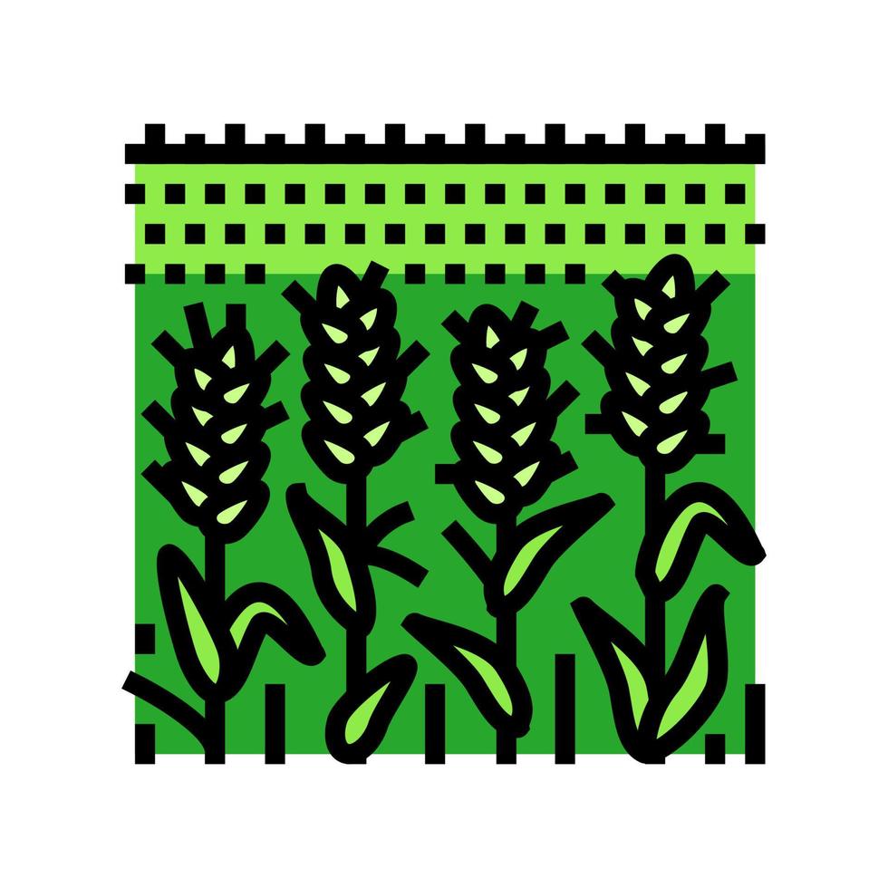 veld- groen planten tarwe kleur icoon vector illustratie