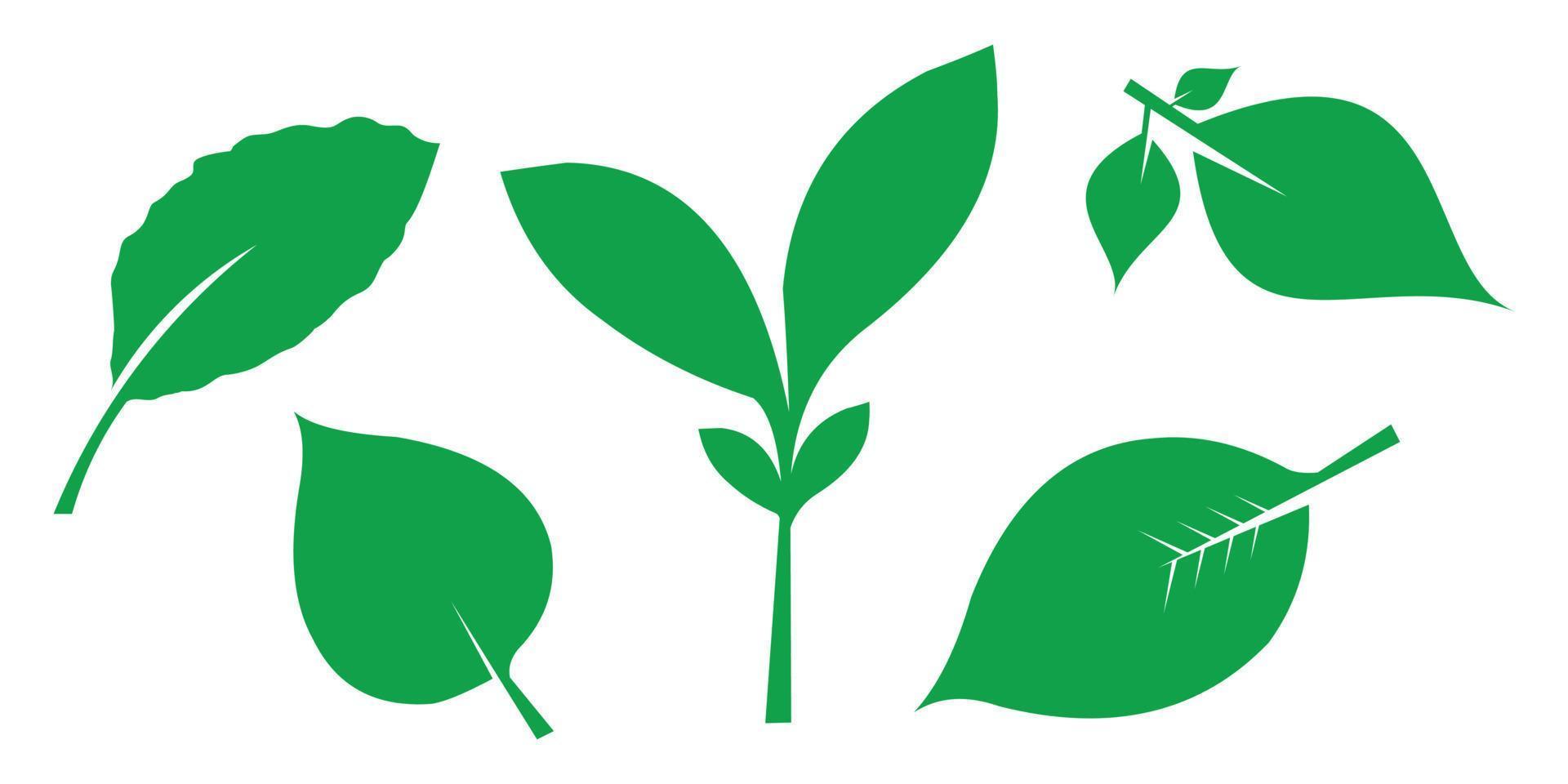 groen blad icoon set. blad icoon. verzameling van groen bladeren. ontwerp elementen voor botanisch, decoratie en bloemist vector