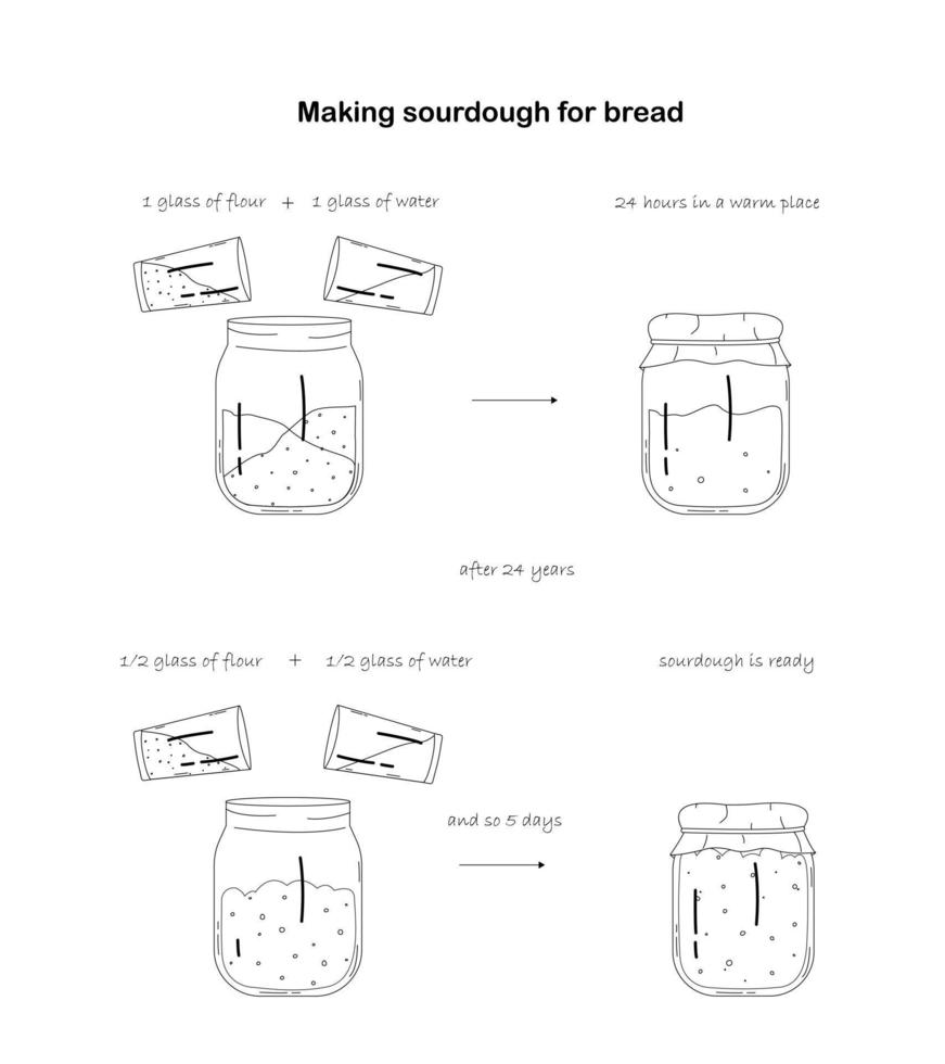 stap voor stap voorbereiding van zuurdesem beginner. zuurdesem voor bakken brood. schets zwart en wit illustratie. vector illustratie