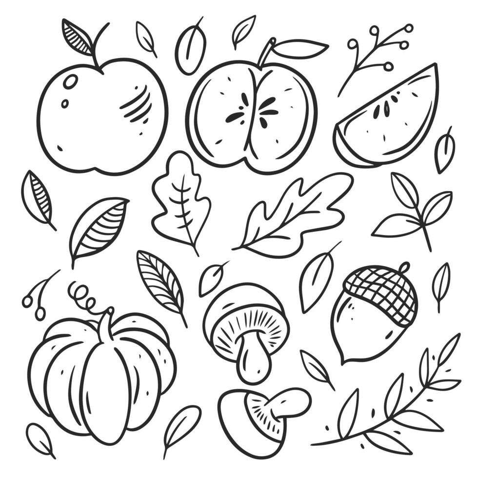 herfst elementen set. bladeren, pompoen, appel. zwart kleur lijn kunst. vector