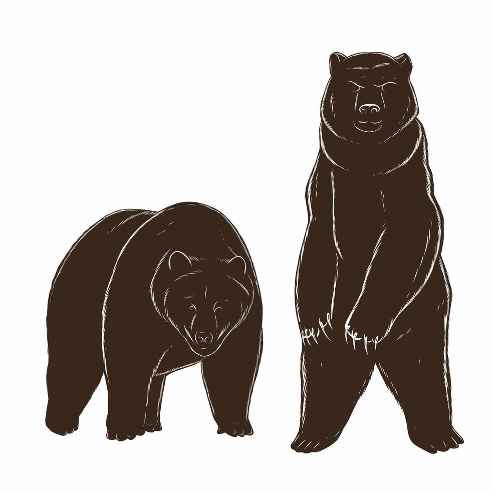 een tekening van twee bears staand De volgende naar elk andere vector
