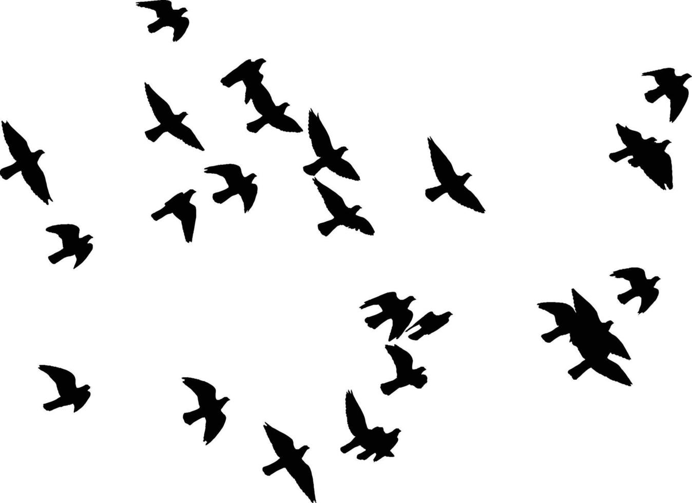 vliegend vogelstand silhouet Aan wit achtergrond. vector illustratie. geïsoleerd vogel vliegen.