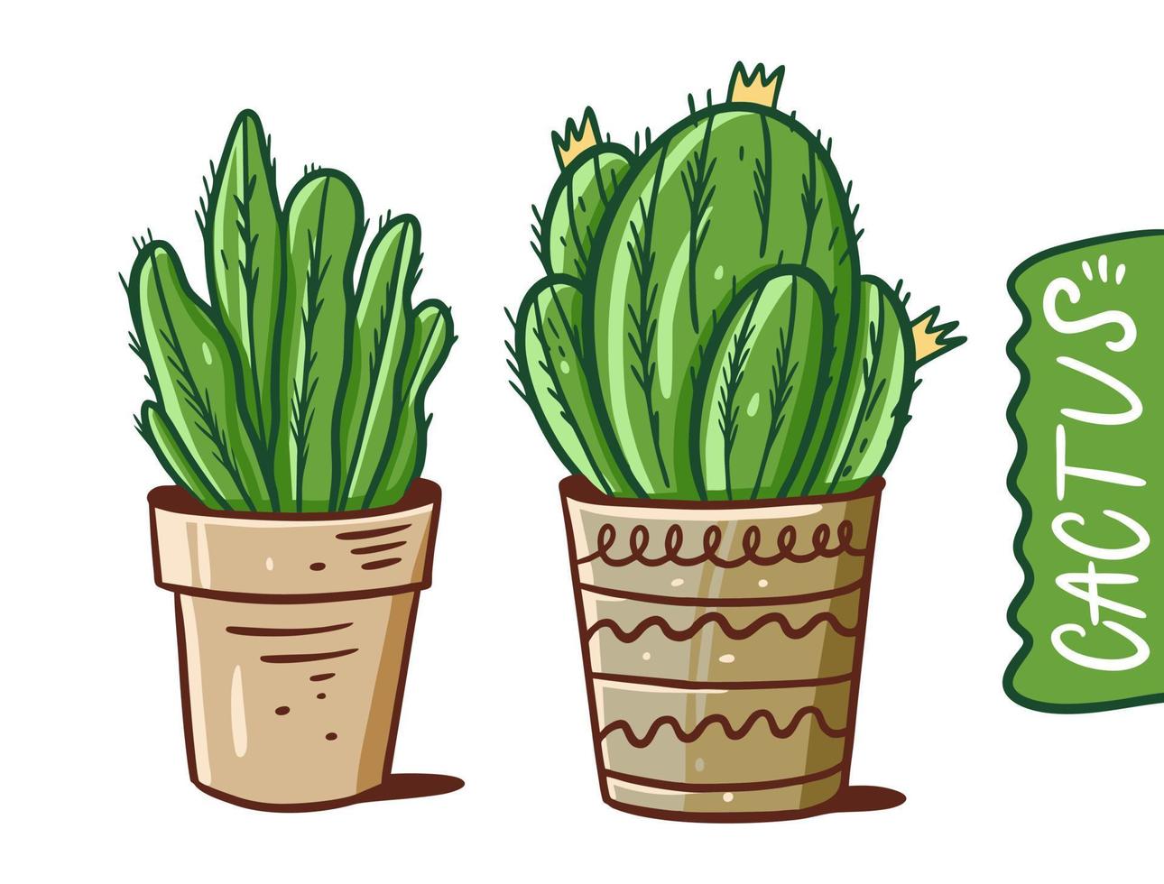 huis cactus in potten. kleurrijk tekenfilm stijl vector illustratie. geïsoleerd Aan wit achtergrond.