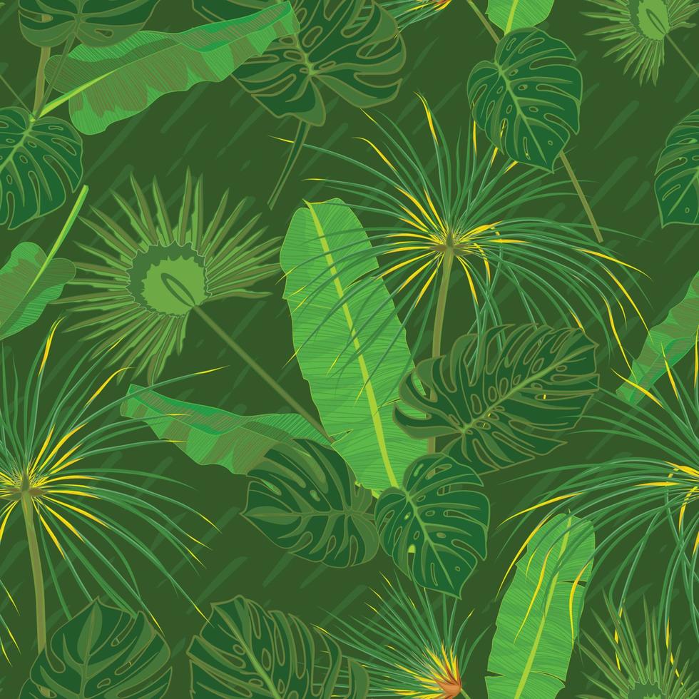 naadloos hand- getrokken tropisch patroon met palm bladeren, oerwoud exotisch blad Aan donker achtergrond vector