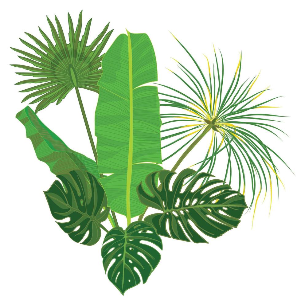 hand- getrokken tropisch palm bladeren samenstelling met oerwoud exotisch bloem Aan wit achtergrond botanisch vector illustratie