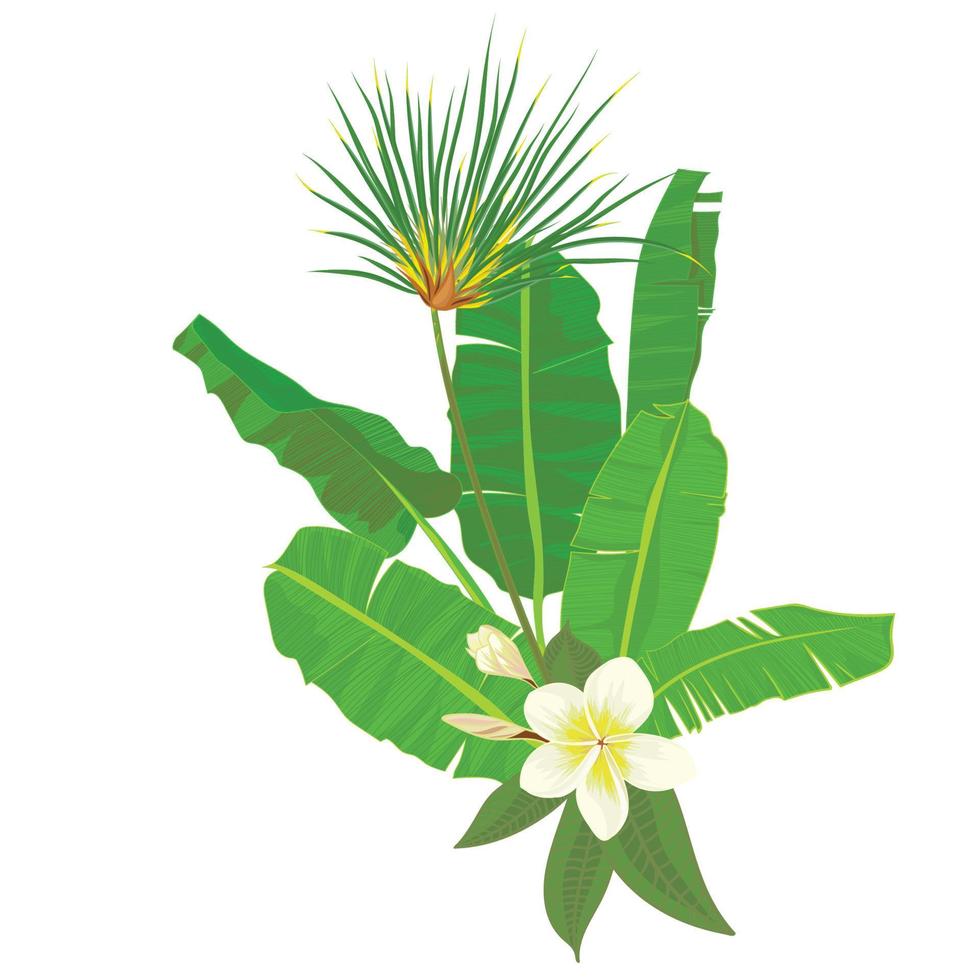 hand- getrokken tropisch palm bladeren samenstelling met oerwoud exotisch bloem Aan wit achtergrond botanisch vector illustratie