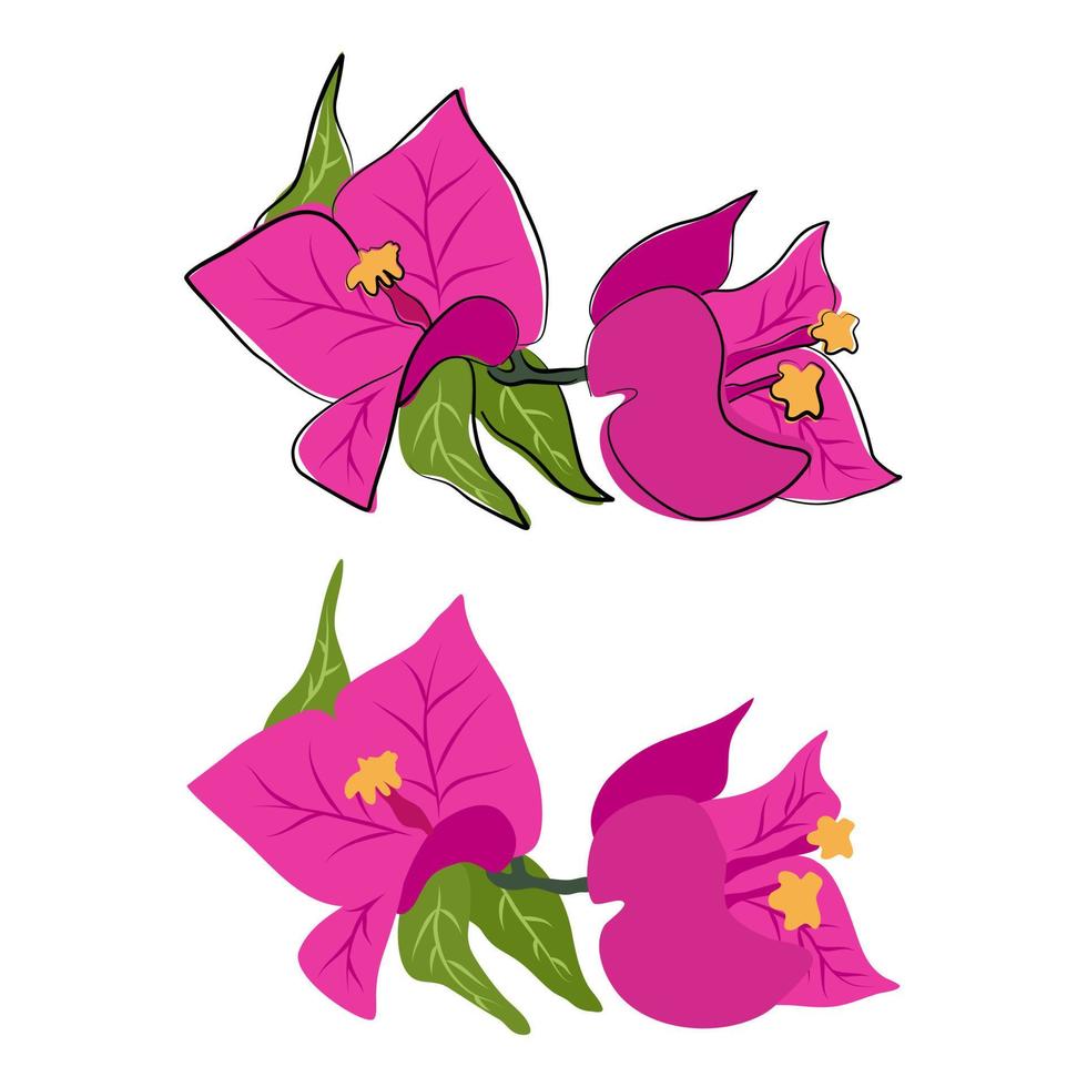 schattig hand- getrokken mooi bougainvillea reeks vector illustratie geïsoleerd Aan wit achtergrond