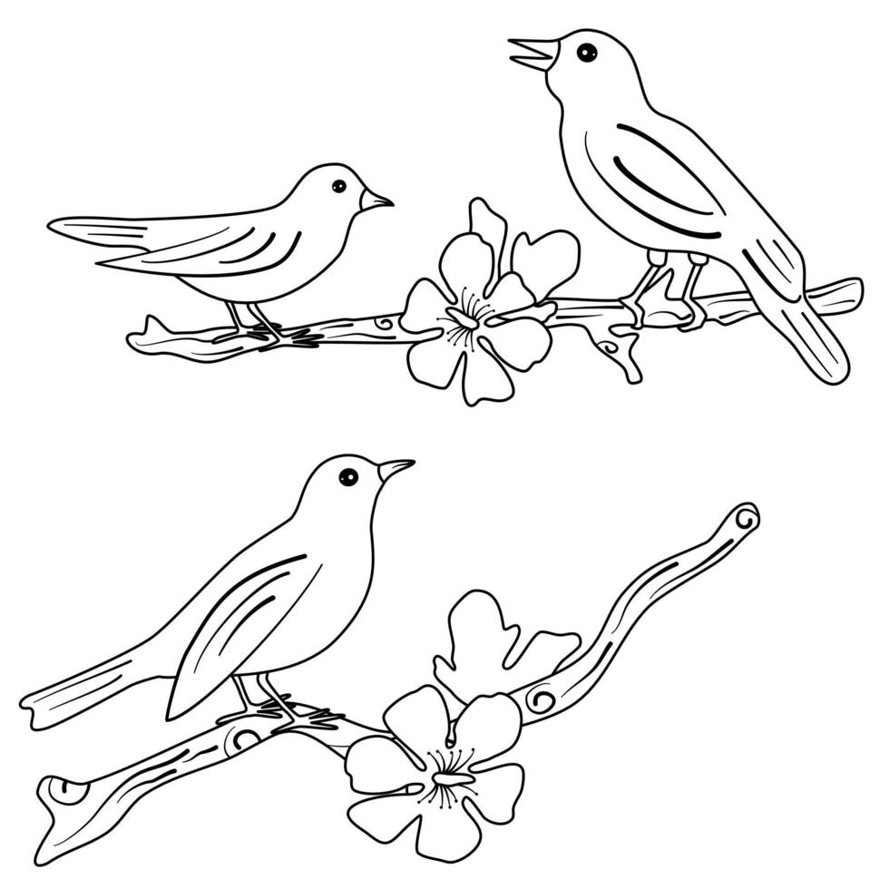 schattig tekenfilm achter en wit vogelstand zittend Aan takken met mooi voorjaar bloemen vector reeks illustratie voor kleur kunst