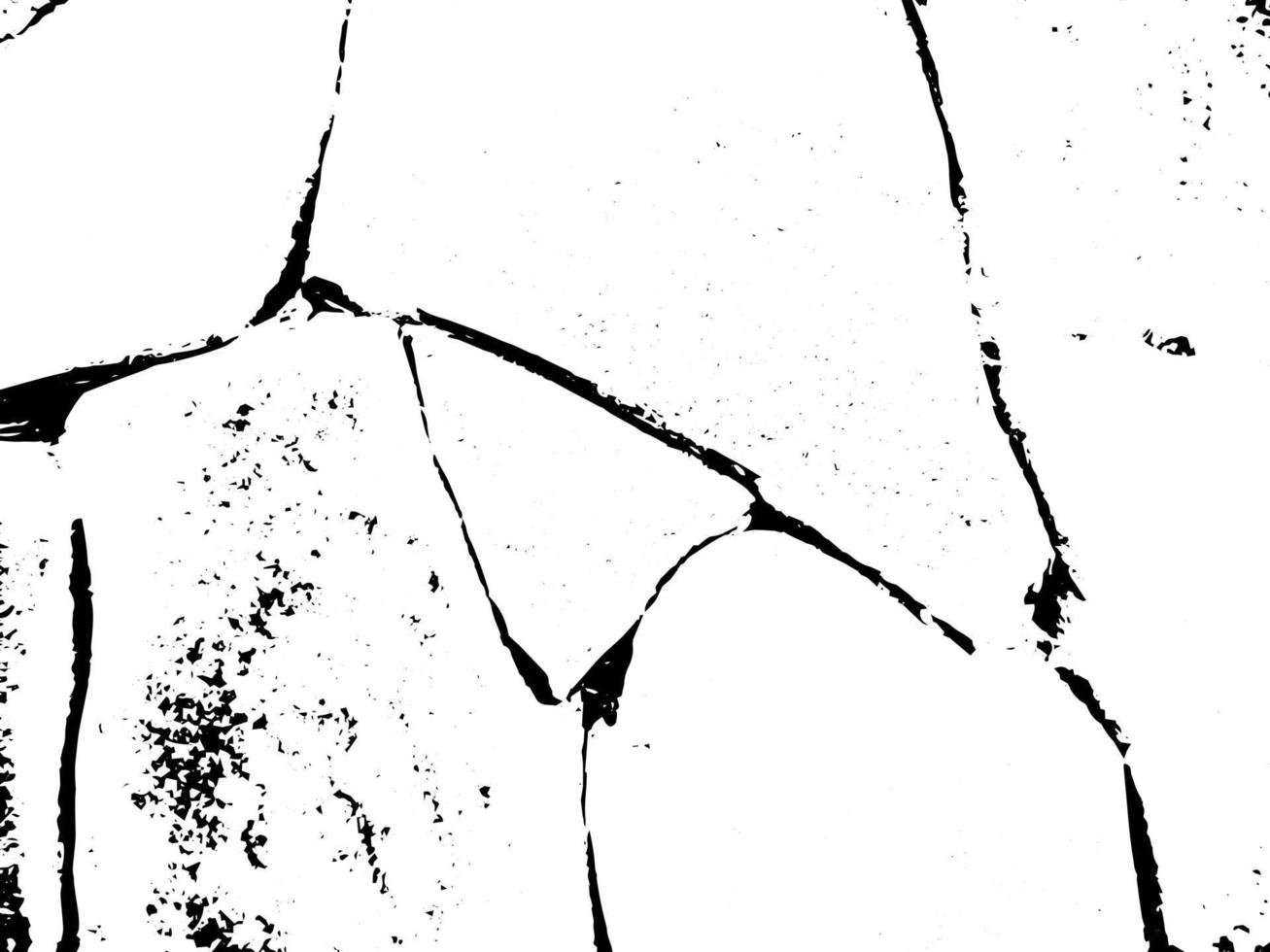rustiek gebarsten vector structuur met veel scheuren en krassen. abstract achtergrond. gebroken en beschadigd oppervlak. oud achtergrond. vector grafisch illustratie met transparant wit.