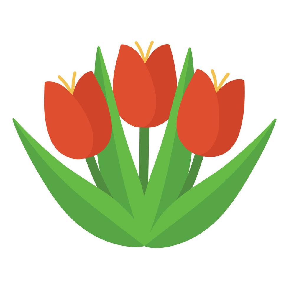 illustratie van rood tulpen. vector tekenfilm rood tulpen zonder achtergrond.