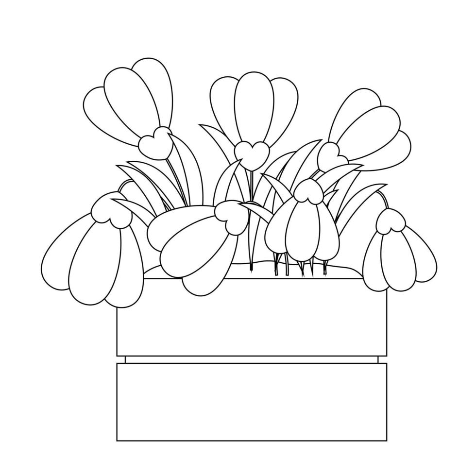 bloem sneeuwklokje in houten doos in zwart en wit vector