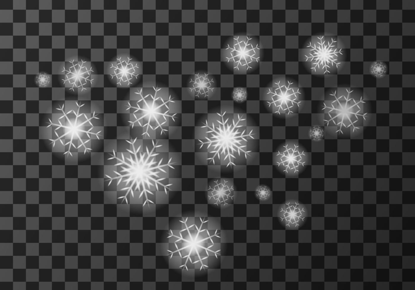 wit sneeuw vlokken weer meteo icoon vector