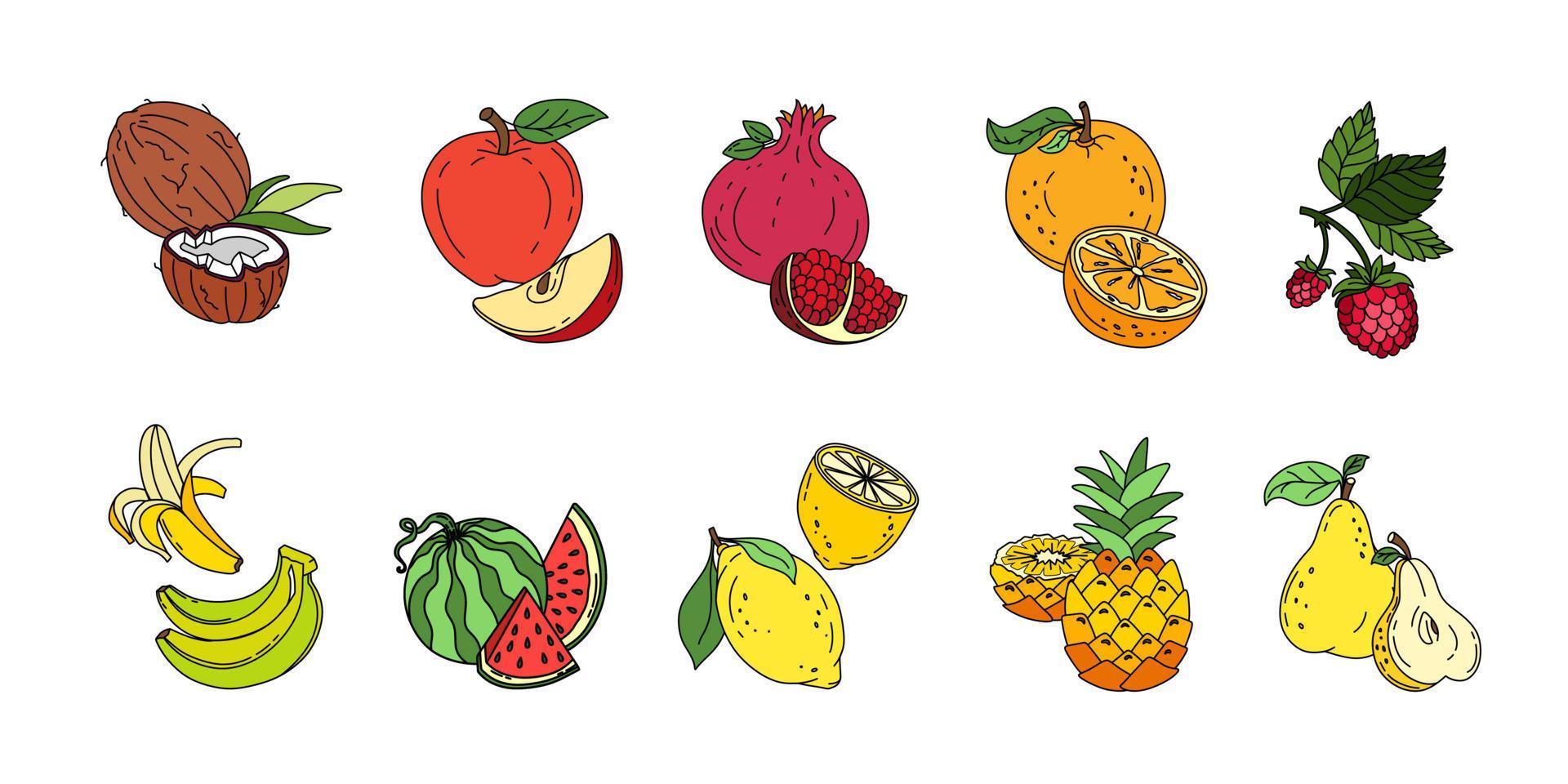 exotisch fruit reeks tekening vector kleur illustratie geïsoleerd Aan wit achtergrond