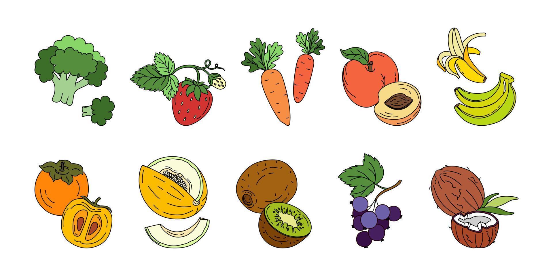 exotisch fruit reeks tekening vector kleur illustratie geïsoleerd Aan wit achtergrond