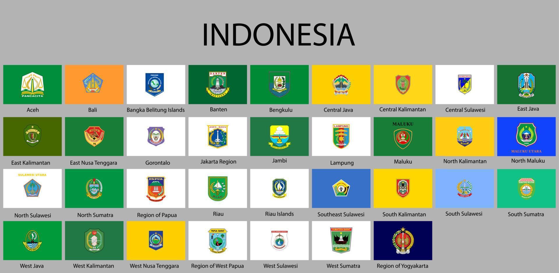 allemaal vlaggen van Regio's van Indonesië vector