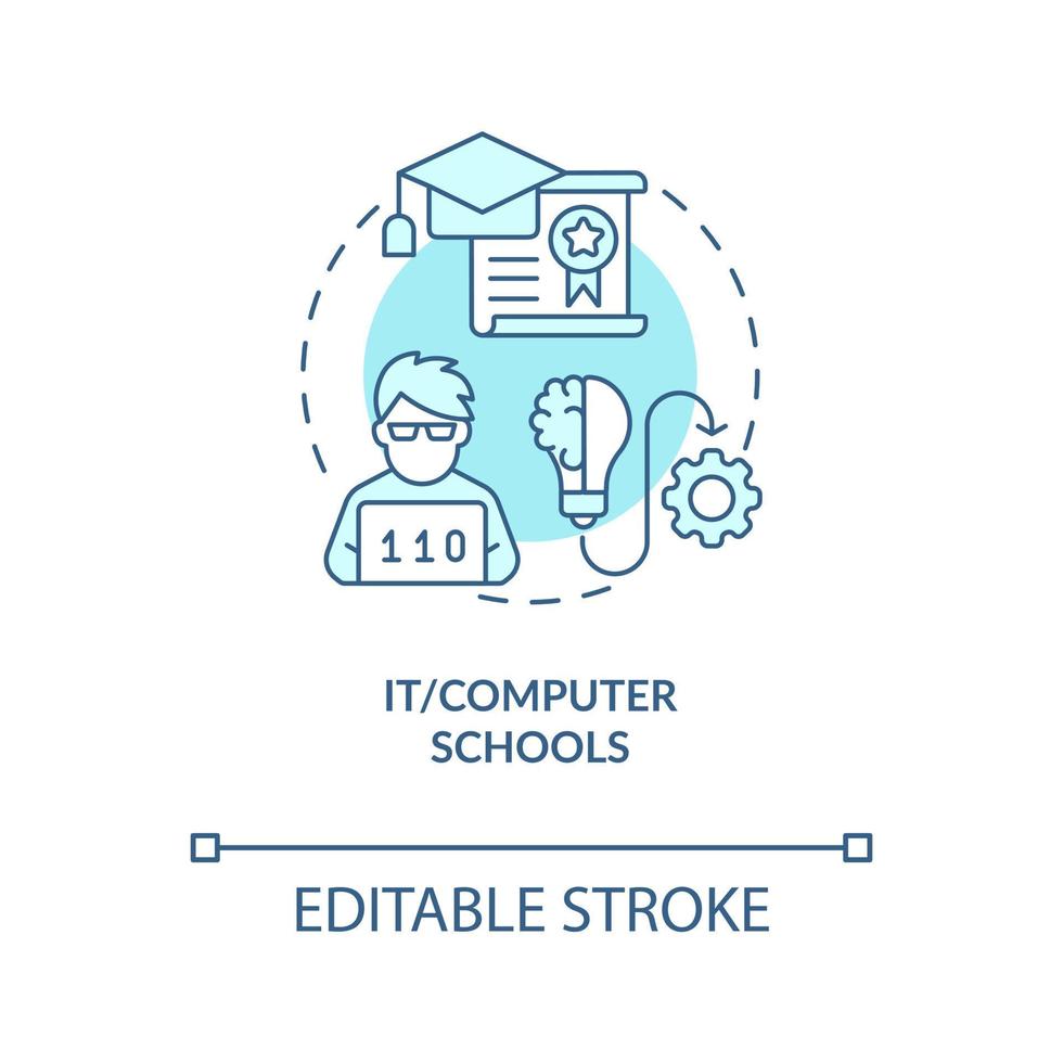 het en computer scholen turkoois concept icoon. aanvullend onderwijs onderhoud abstract idee dun lijn illustratie. geïsoleerd schets tekening. bewerkbare beroerte vector