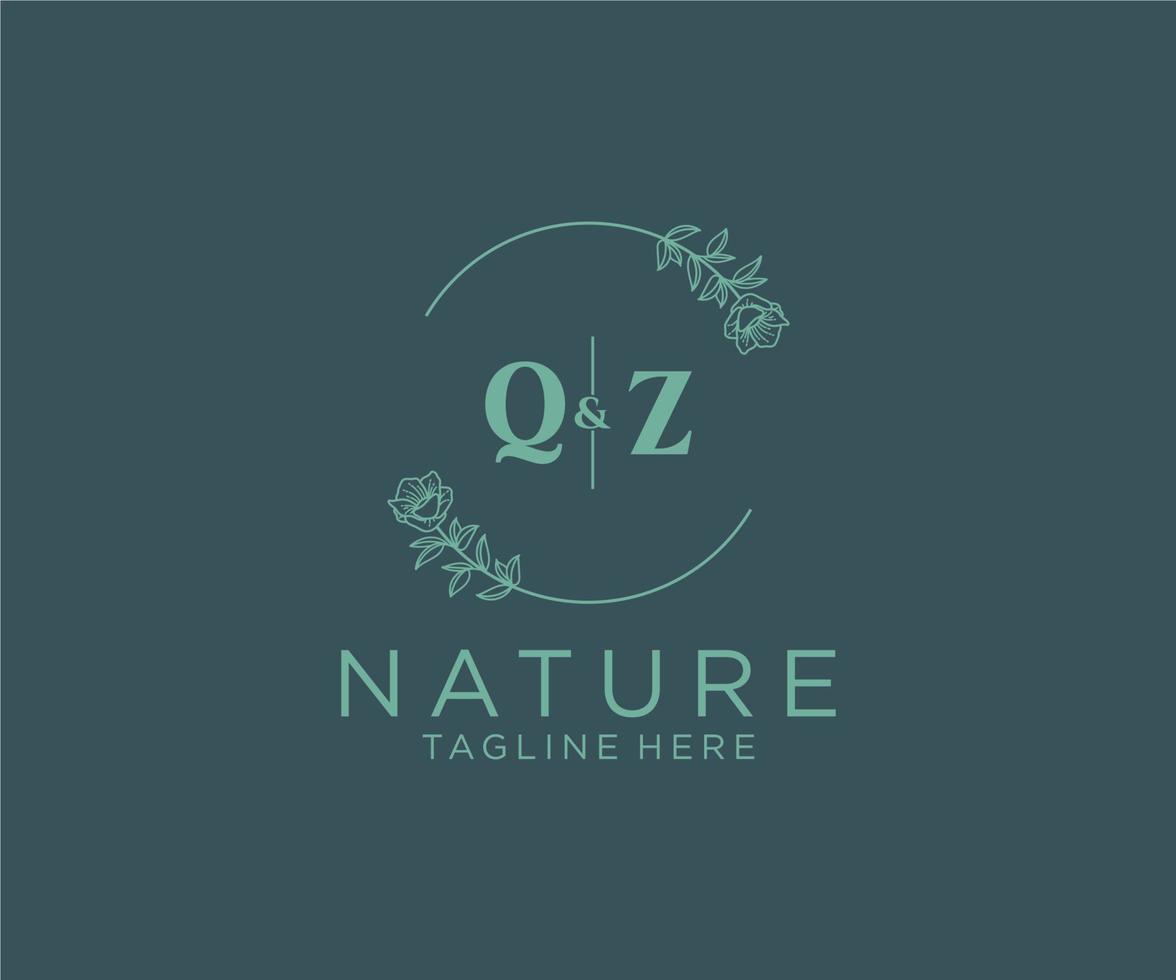 eerste qz brieven botanisch vrouwelijk logo sjabloon bloemen, bewerkbare premade monoline logo geschikt, luxe vrouwelijk bruiloft branding, zakelijk. vector