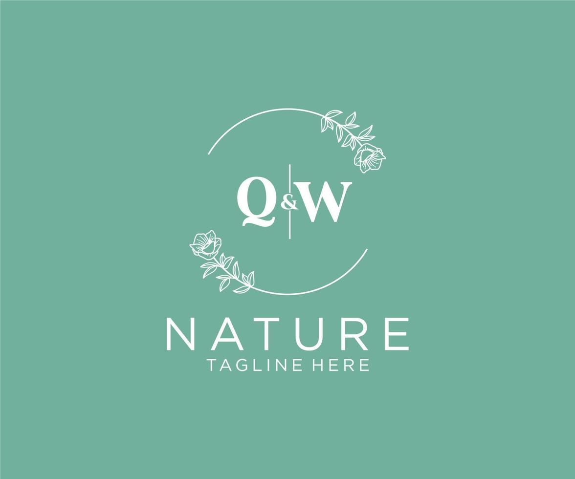 eerste qw brieven botanisch vrouwelijk logo sjabloon bloemen, bewerkbare premade monoline logo geschikt, luxe vrouwelijk bruiloft branding, zakelijk. vector