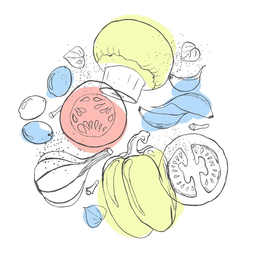 cirkel samenstelling groenten illustratie schetsen kunst met pastel helder kleur vector