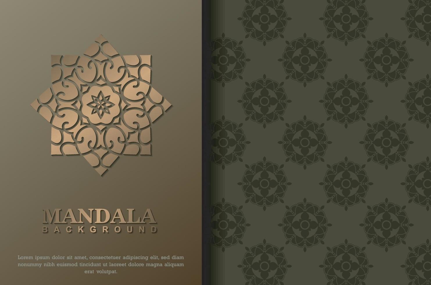 premium luxe mandala achtergrond concept vector