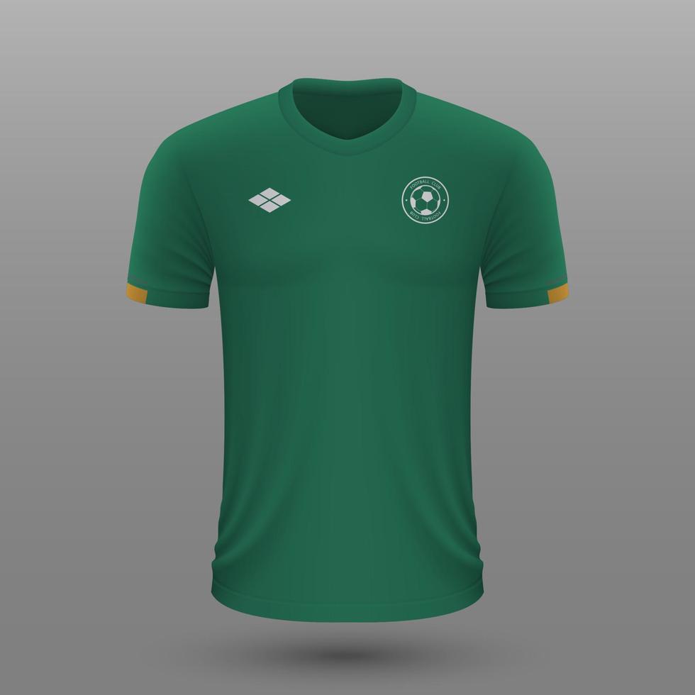 realistisch voetbal overhemd , Ierland huis Jersey sjabloon voor Amerikaans voetbal uitrusting. vector