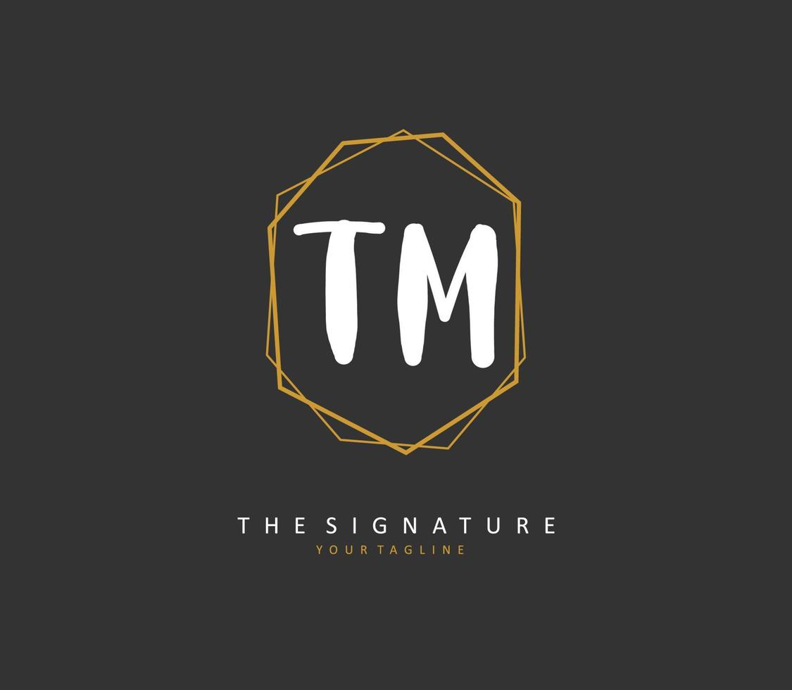 t m tm eerste brief handschrift en handtekening logo. een concept handschrift eerste logo met sjabloon element. vector