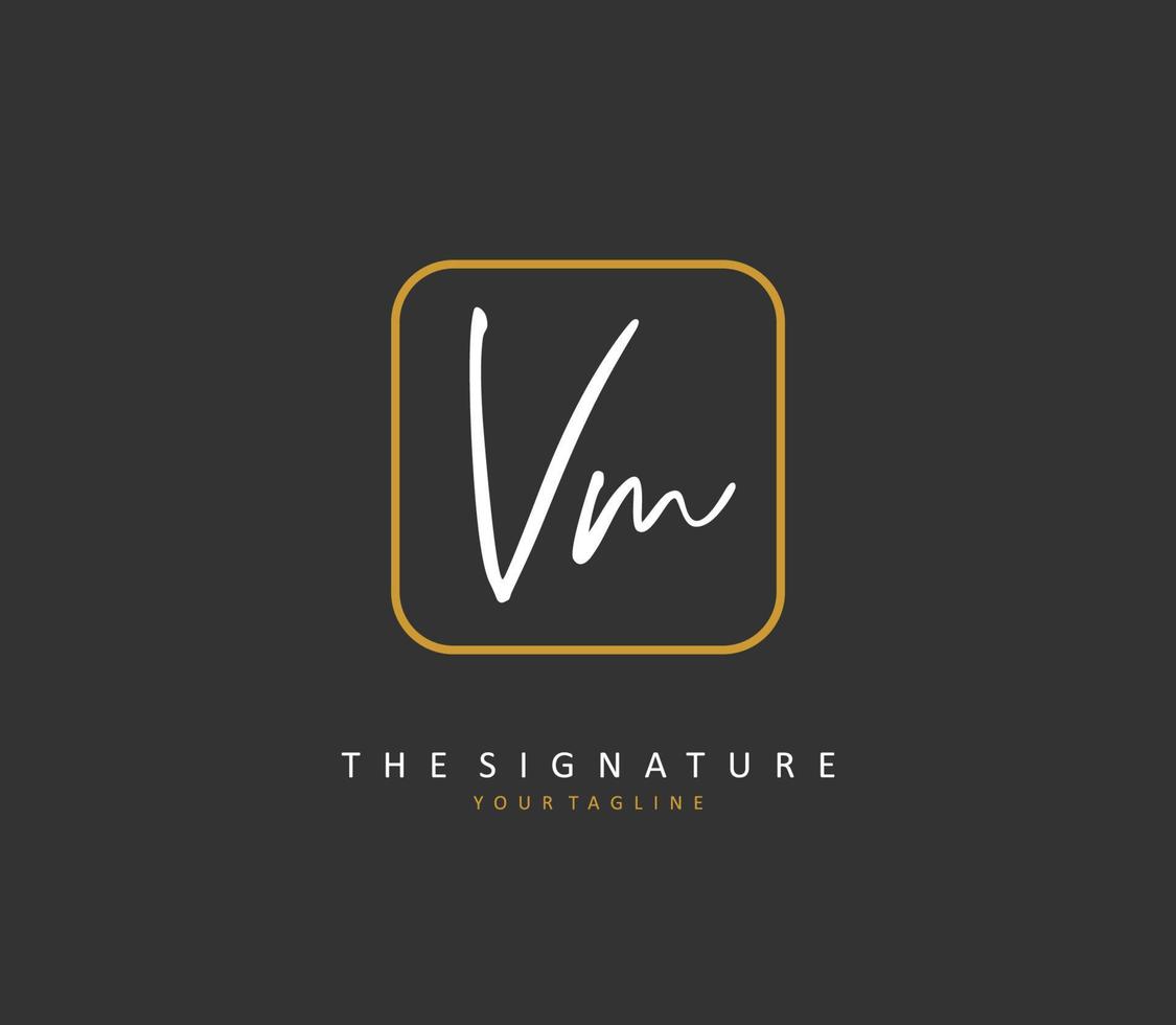 v m vm eerste brief handschrift en handtekening logo. een concept handschrift eerste logo met sjabloon element. vector