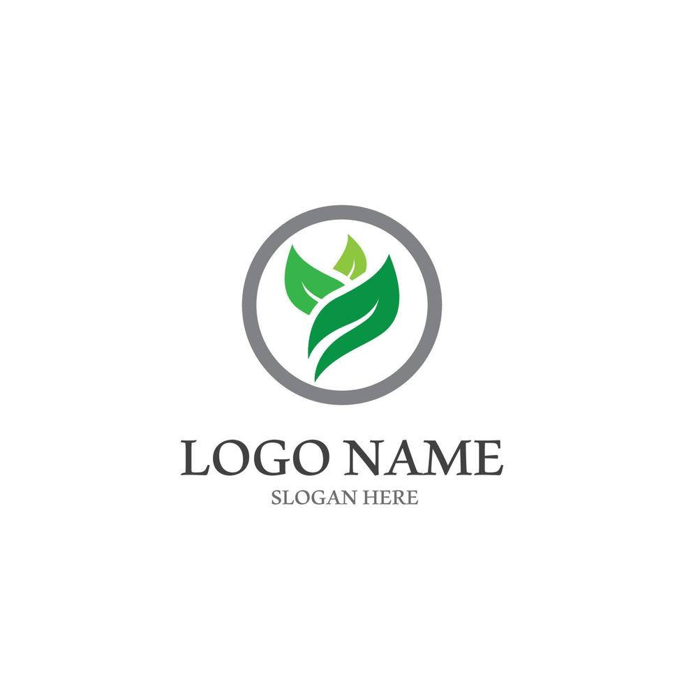 logo's van groene boom blad ecologie natuur element vector