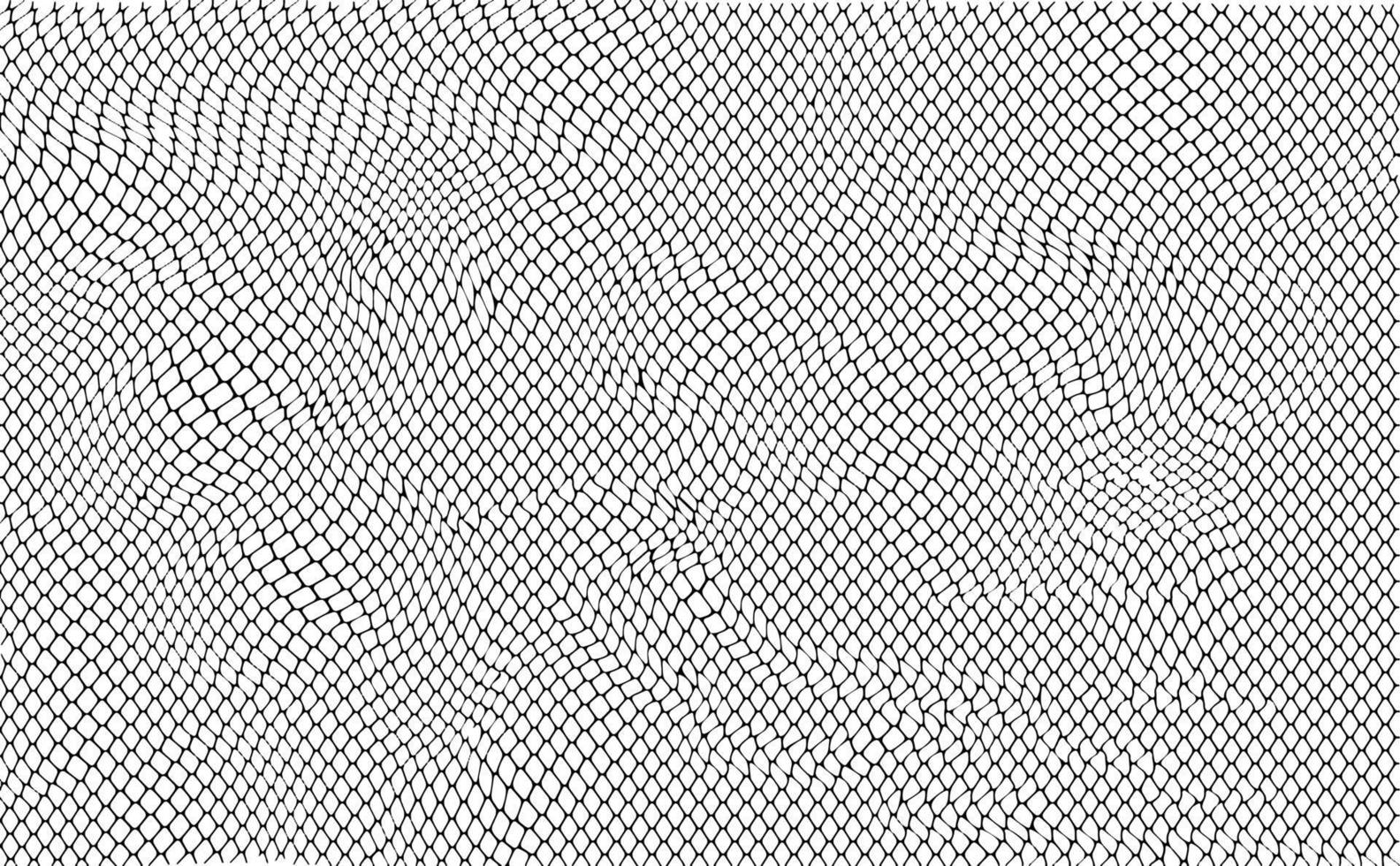 slang huid patroon. slang schubben. zwart en wit. vector