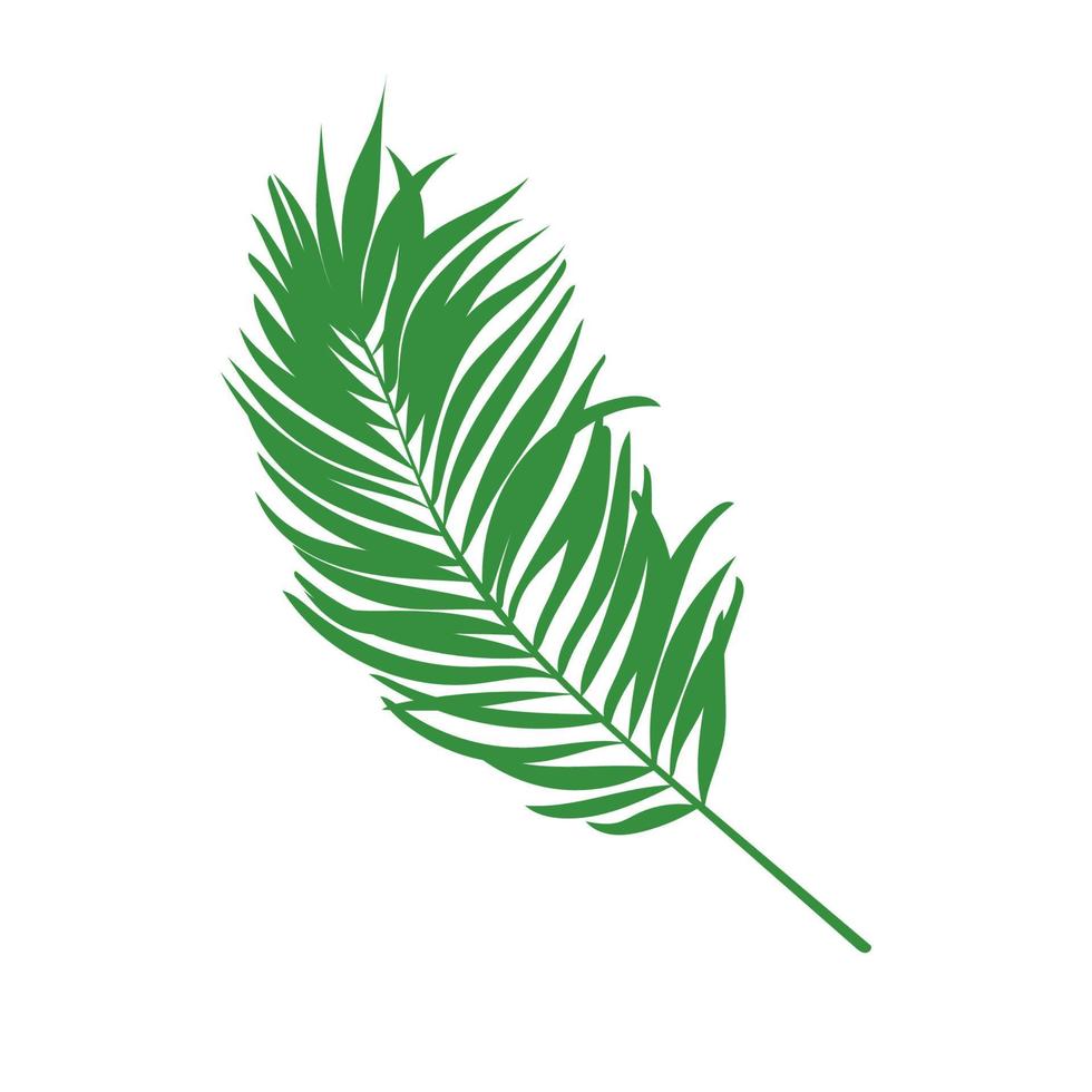 groen vector palm blad. geïsoleerd Aan de wit achtergrond