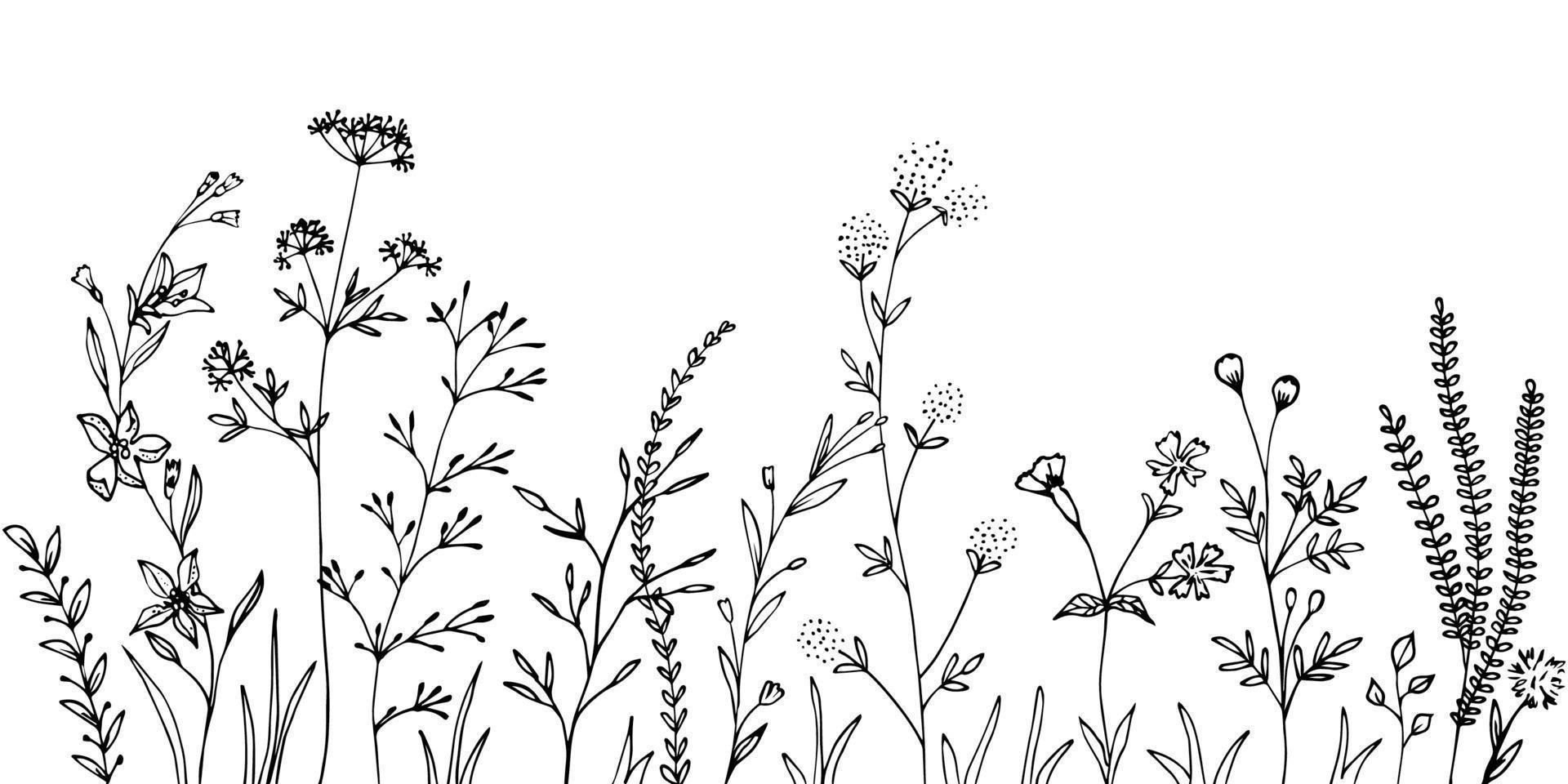 zwarte silhouetten van gras, bloemen en kruiden. vector