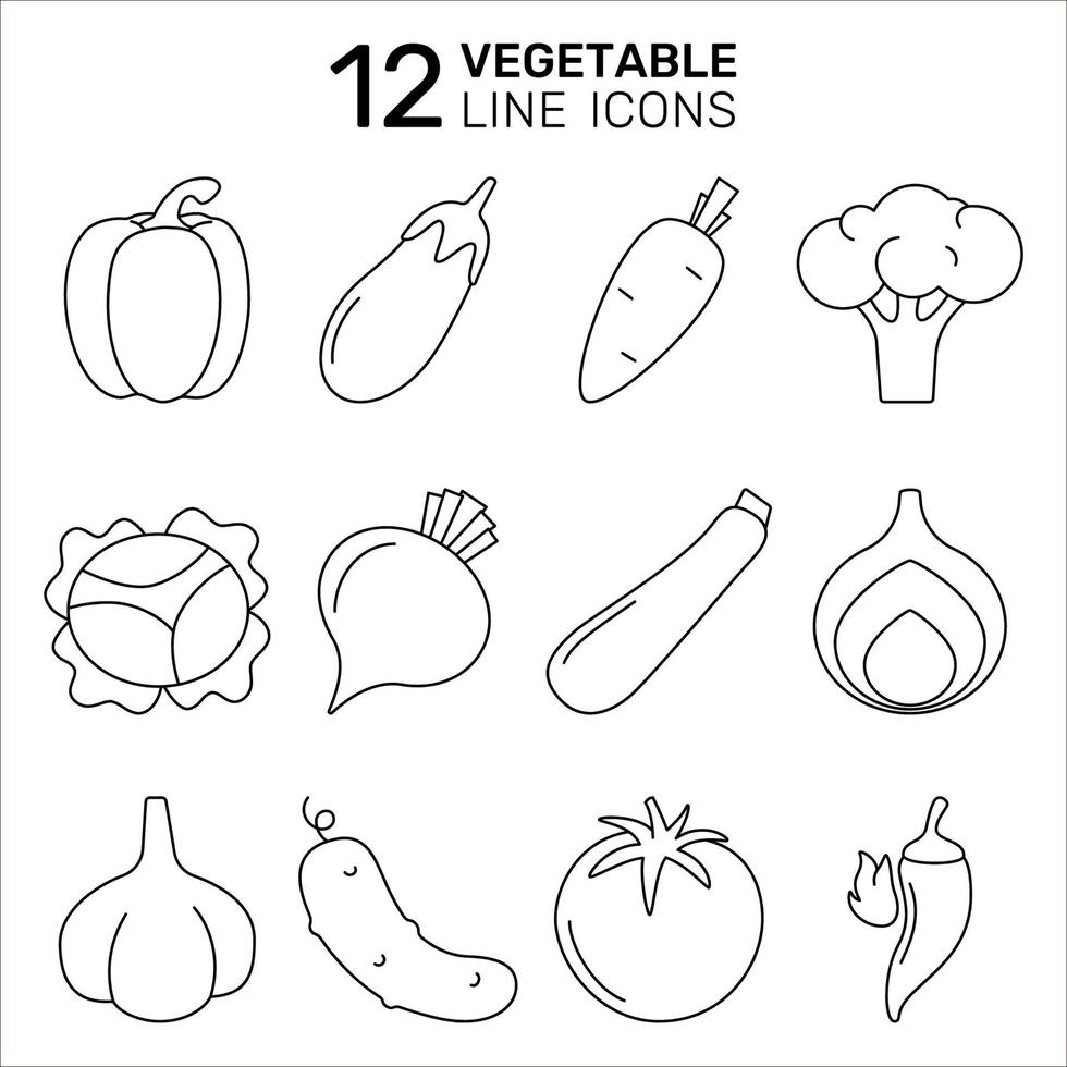 een reeks van groente vector pictogrammen - tomaat, komkommer, peper, ui, knoflook, broccoli, kool, courgette, aubergine, heet peper, wortel, rode biet.