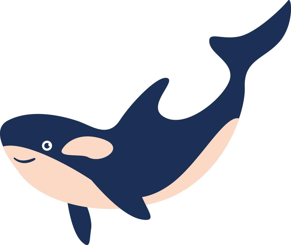vector orka of moordenaar walvis vector tekenfilm