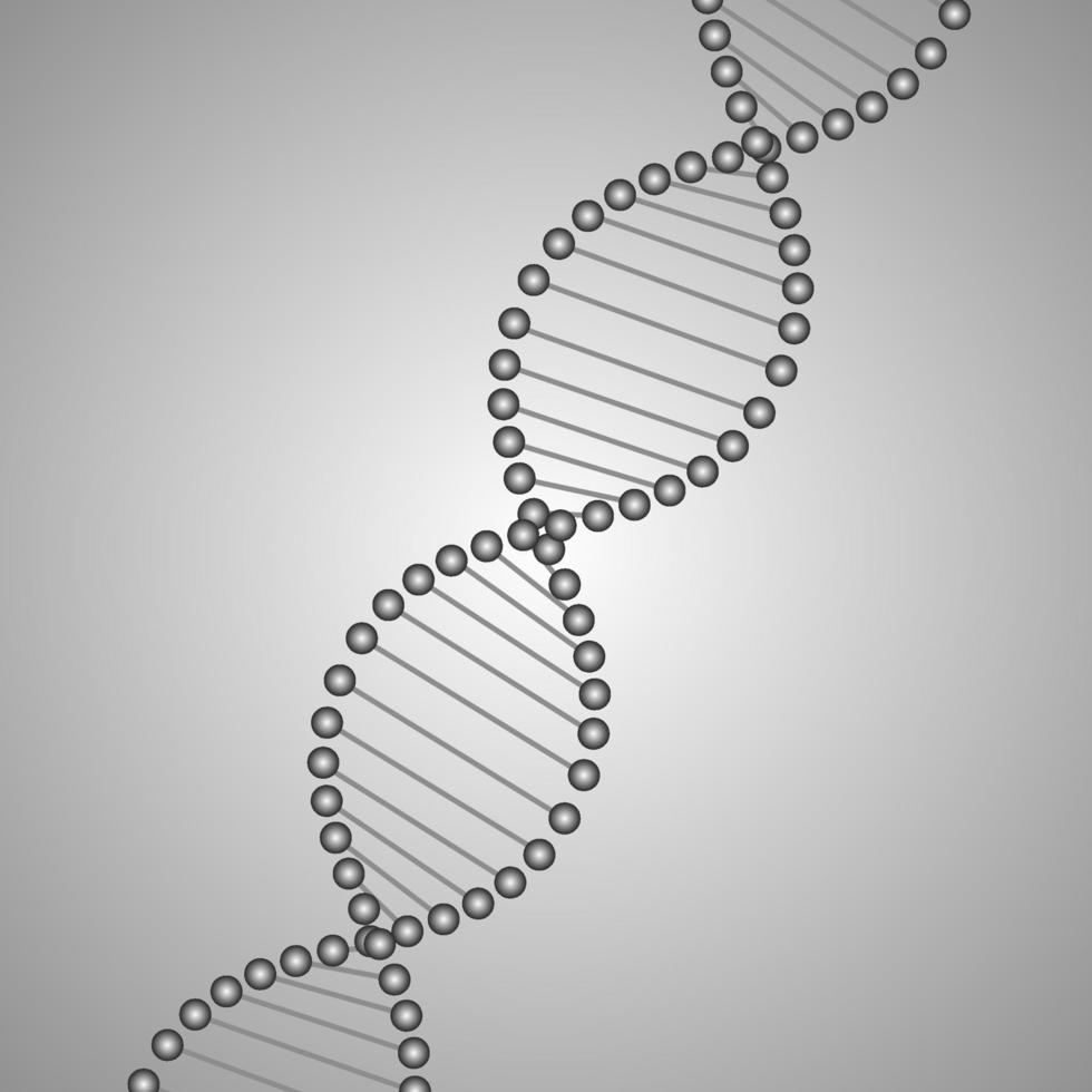 abstract dna strand symbool. vector