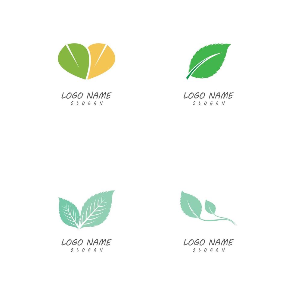blad natuur logo sjablonen vector