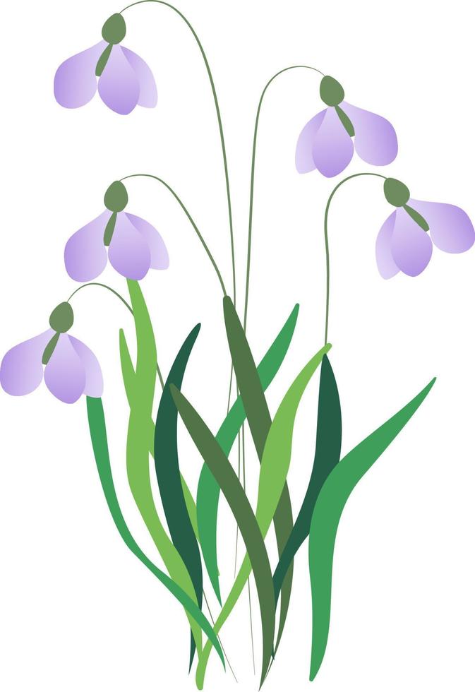 bloemen illustratie met abstract bloemen, groen bladeren en planten, vliegend vlinders. illustratie zomer bloem geïsoleerd Aan wit achtergrond. vector