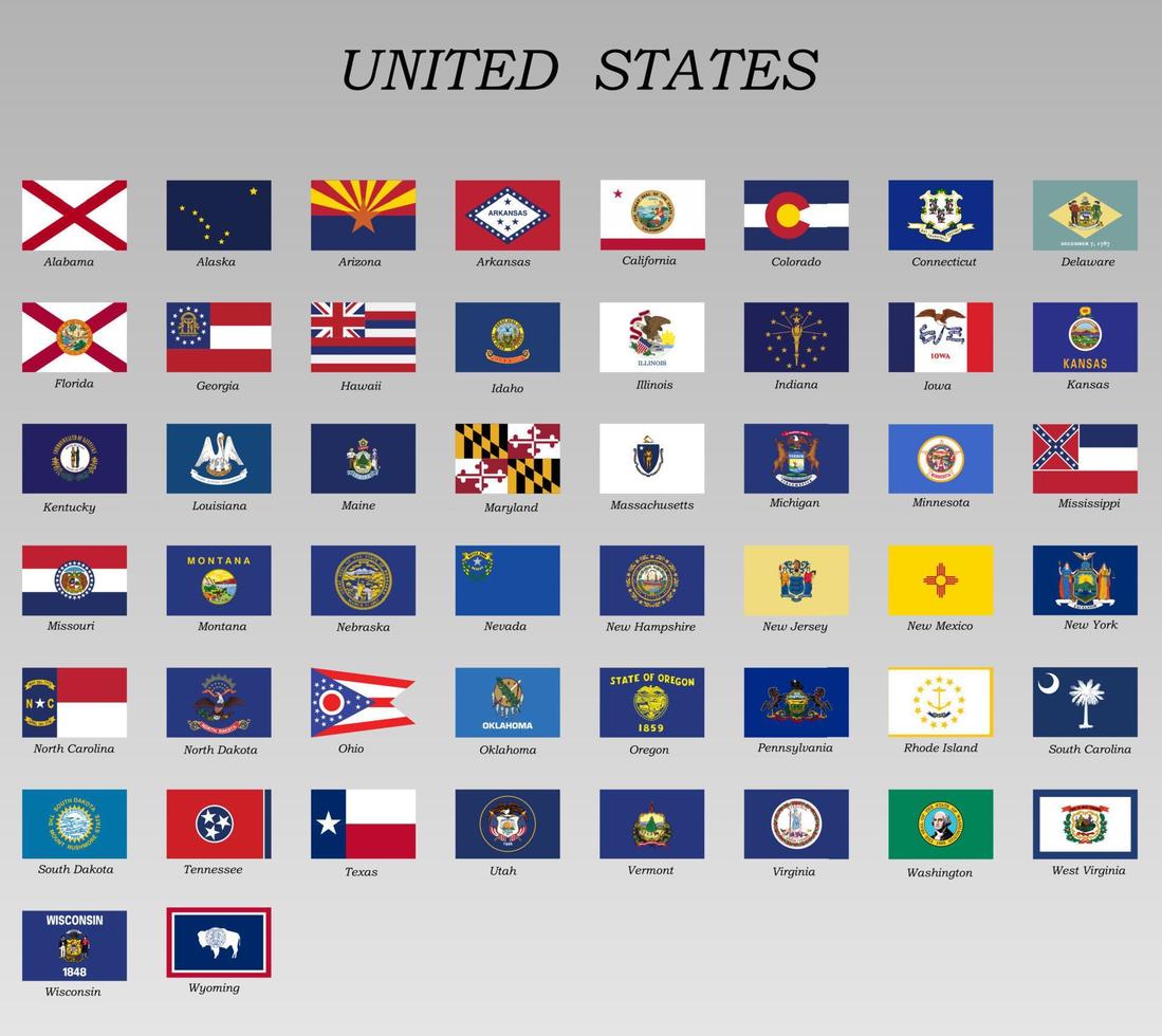 allemaal vlaggen van staten van de Verenigde staten vector