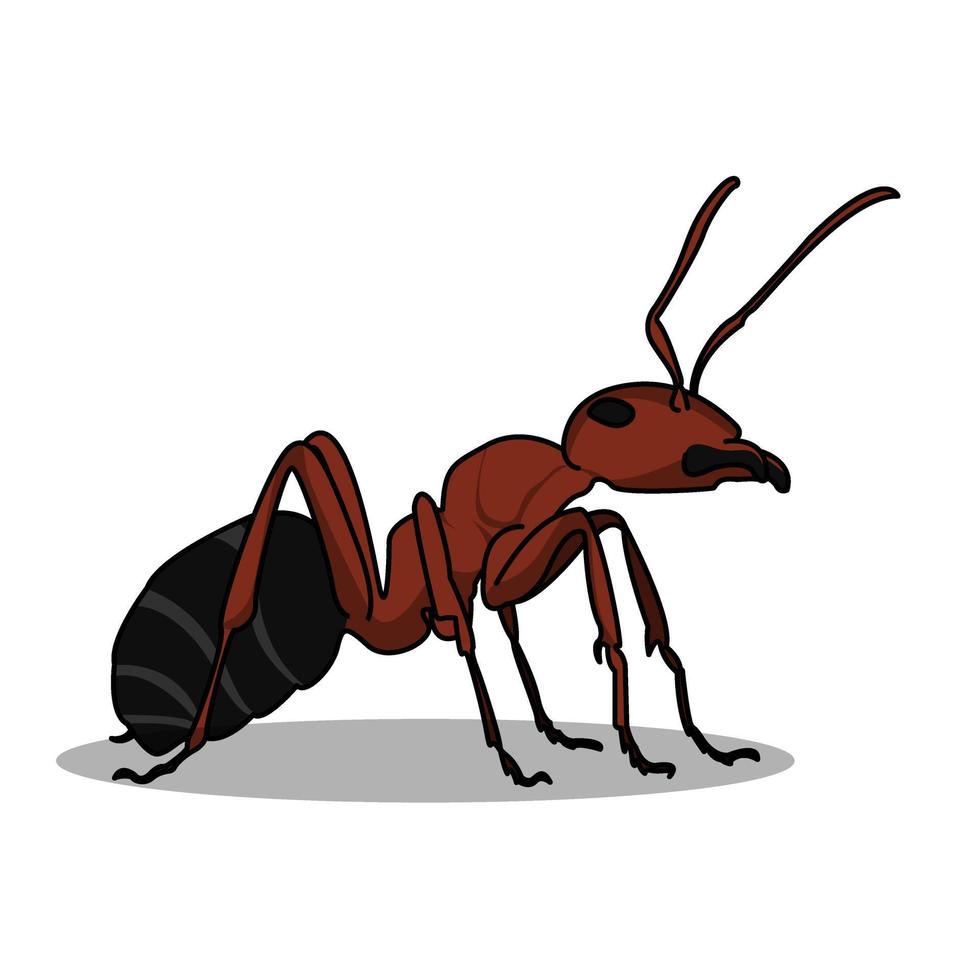 een heel gedetailleerd, groot rood mier illustratie ontwerp. geïsoleerd dier ontwerp. geschikt voor landen Pagina's, stickers, boek covers vector