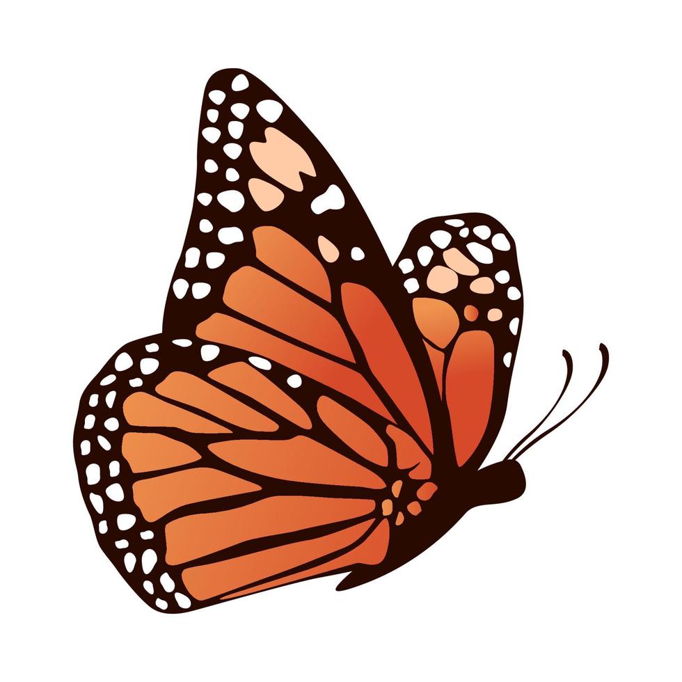 verzameling van realistisch vlinder vector illustratie ontwerp