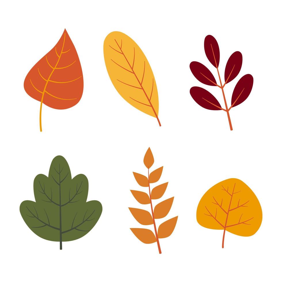 hand- getrokken herfst bladeren illustratie ontwerp vector