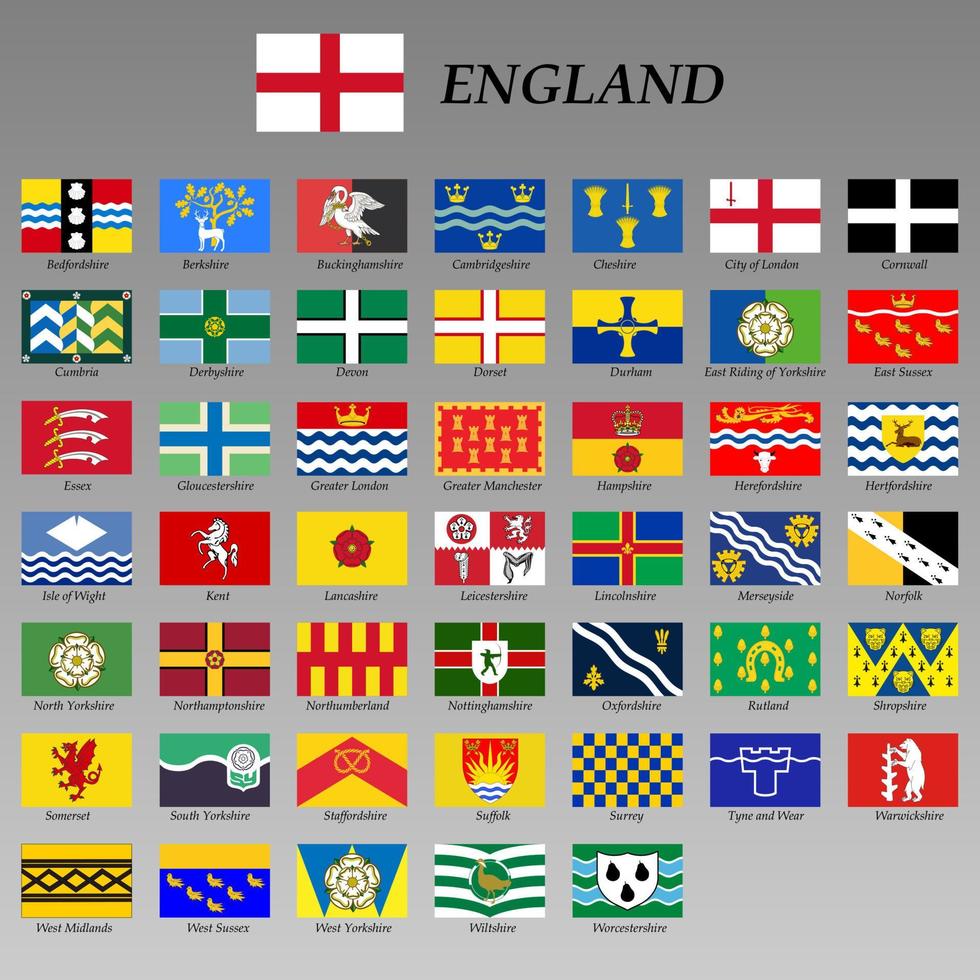 allemaal vlaggen van de Engeland Regio's. vector