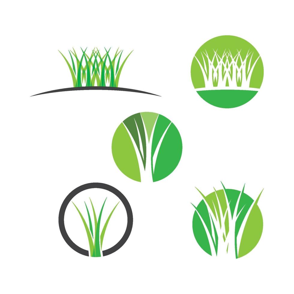 gras logo afbeeldingen illustratie set vector