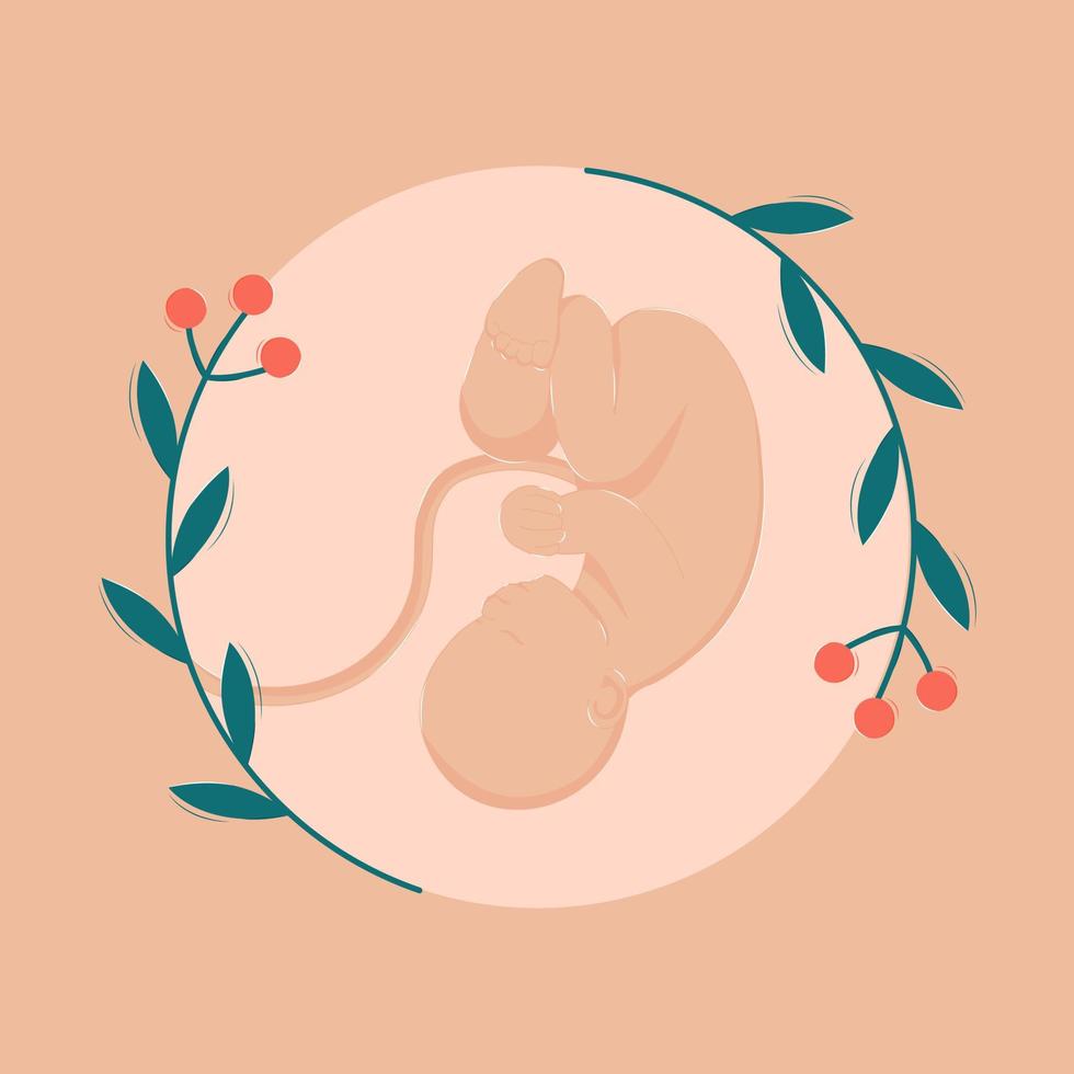 bevalling prenataal periode klein kind embryo verloskundige zorg vector