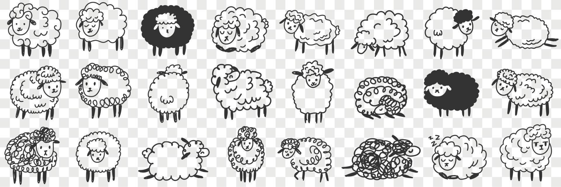 grappig wit en zwart schapen dieren tekening set. verzameling van hand- getrokken divers grappig schattig pluizig lakens in boerderijen in verschillend poses genieten van leven geïsoleerd Aan transparant achtergrond vector