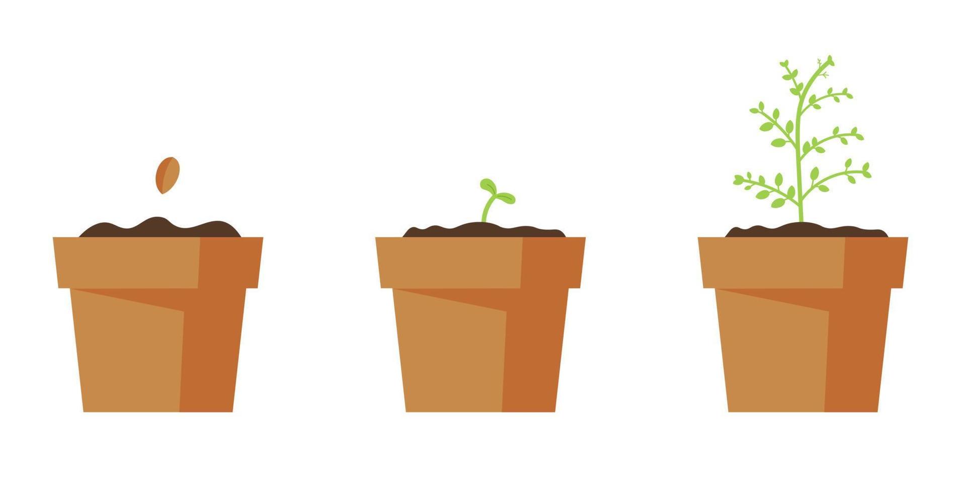 werkwijze van groeit weinig huis boom. tuinieren, aanplant concept. vector illustratie in vlak stijl
